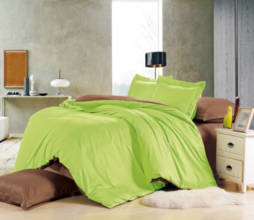 Комплект постельного белья Вальтери Сатин Зеленый и коричневый LS-06