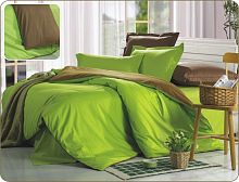 Комплект постельного белья Вальтери Сатин Зеленый OD-21